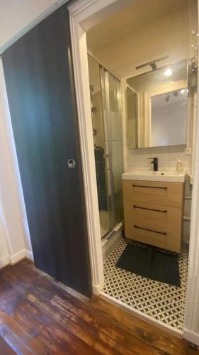 une salle de bain avec une douche, un lavabo et un miroir dans l'établissement Grand studio refait à neuf !, à Yerres
