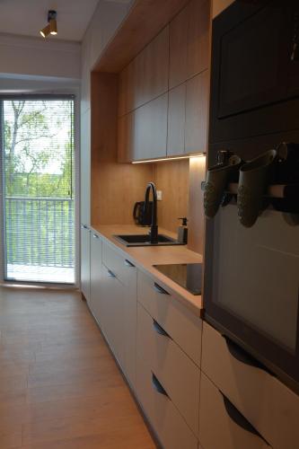 a kitchen with wooden cabinets and a sink and a window at Apartament Jaskółki w Pilicach in Jastrzębia Góra