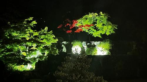 Jardín al aire libre en NARA japanese garden villa