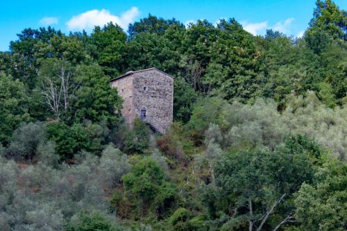 La Torre nel Bosco – Photos 2
