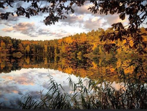 Przytulna kawalerka nad Jeziorem Długim darmowy parking i rowery