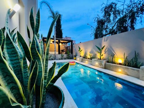 a swimming pool with a potted plant next to a house at SABOR VILLA TARGA GARDEN -Only Family in Marrakech