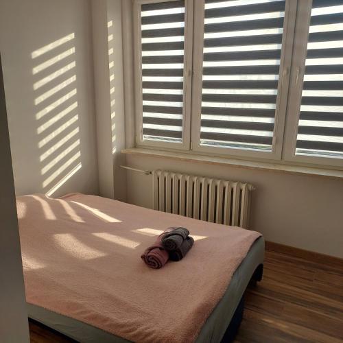 a bed in a room with windows and a hat on it at Flat Żelazna Street in Warsaw