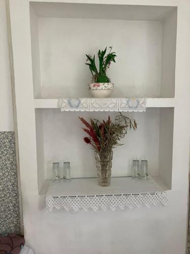 a white shelf with a potted plant on it at Somborski salas - strogi centar in Sombor