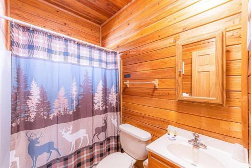 a bathroom with a toilet and a shower curtain at Cabin#2 Elk Hallow - Pet Friendly - Sleeps 6 - Playground & Game Room in Payson