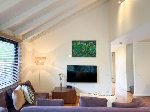 salon z kanapą i telewizorem w obiekcie Southern Ocean Villa 9 w mieście Port Campbell