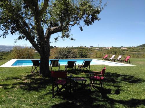 een groep stoelen en een boom naast een zwembad bij Douro Villa with Private Pool in Armamar