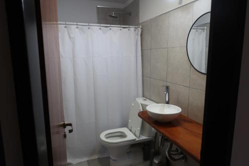 a bathroom with a toilet and a sink and a mirror at Pueyrredon 440 in Santa Rosa