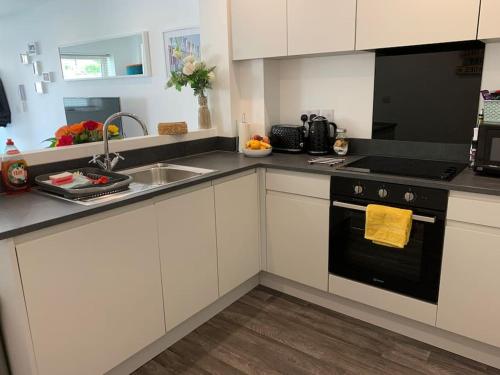 Kitchen o kitchenette sa BOURNEMOUTH Nr TOWN BEACH TRAIN COACH SHOPS Lovely ENTIRE APARTMENT ALLOWS QUIET GOOD DOGS