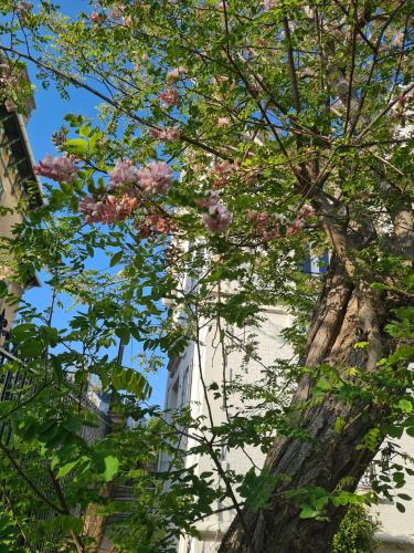 Photo de la galerie de l'établissement La Côte, à Granville