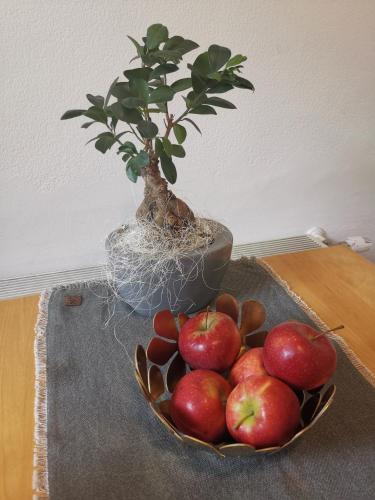 a bowl of apples on a table with a potted plant at Ruhe am Wald - zentral und Wörthersee in Klagenfurt