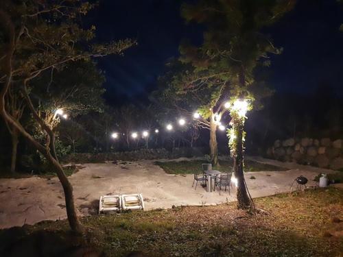 a park at night with trees and lights at Soo Stay in Seogwipo