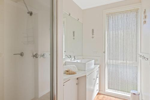 Ένα μπάνιο στο Dog Friendly Beach Haven