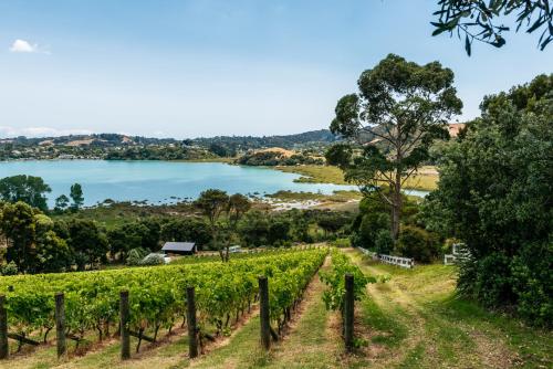 a view of a vineyard and a lake at The Winemaker's Cottage - Coast & Country in Omiha