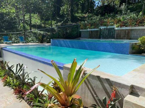 Villa Ángel (AC/Internet/Pool/Punta Uva beach) – Photos 2