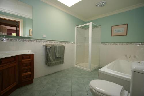 a bathroom with a shower and a toilet and a sink at Donalea Bed and Breakfast & Riverview Apartment in Castle Forbes Bay