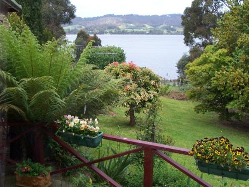 a garden with plants and flowers on a fence at Donalea Bed and Breakfast & Riverview Apartment in Castle Forbes Bay