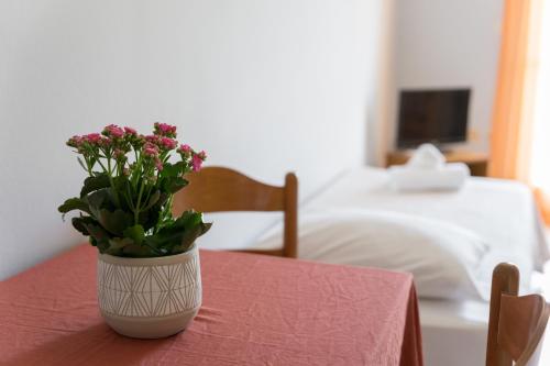 a vase filled with flowers sitting on a table at Ammousa Hotel Apartments in Lixouri
