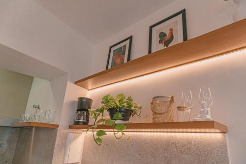 a shelf with glasses and a potted plant on it at Castelli Studios centro SP in Sao Paulo