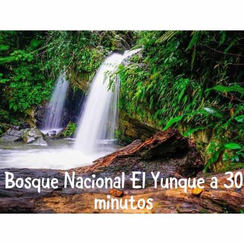 a picture of a waterfall in a forest at private apartmento airport 7 minutes y de la playa in Carolina