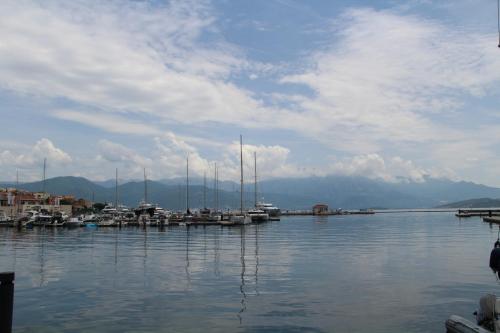 eine Gruppe von Booten, die an einem Dock im Wasser angedockt sind in der Unterkunft Luna Portonovi apartments in Herceg-Novi