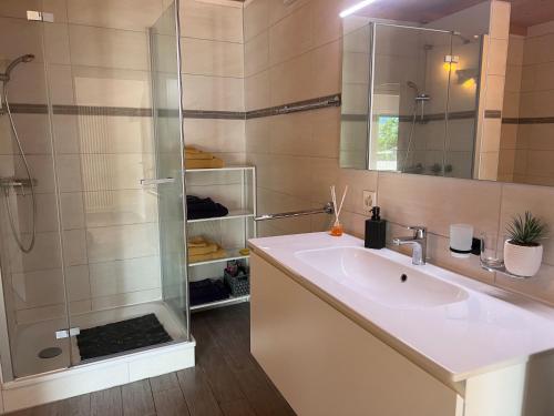 een badkamer met een wastafel en een douche bij Un sogno nella natura in Agarone
