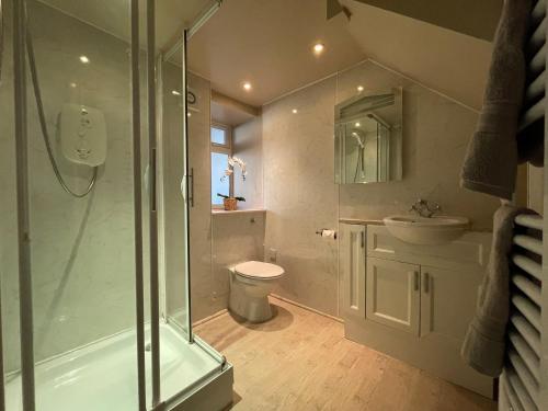a bathroom with a shower and a toilet and a sink at 7 Castle Terrace in Dolwyddelan