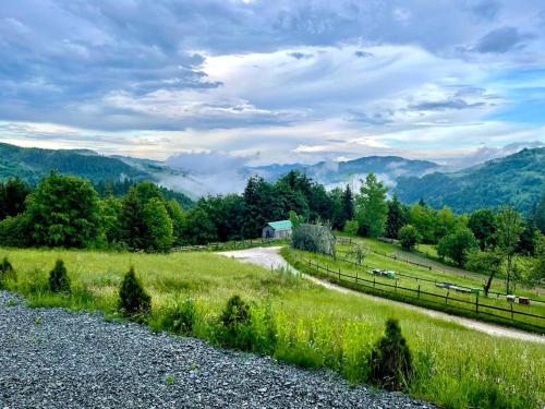 a gravel road in a field with mountains in the background at Pensiunea Agroturistica Acvila Apusenilor in Vadu Moţilor