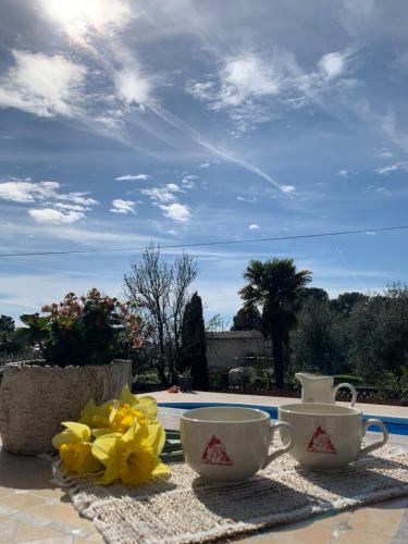 Gallery image of Villa Ljubica with big beautiful garden in Višnjan