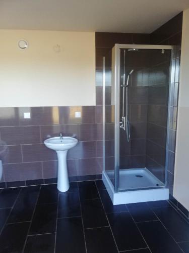 a bathroom with a shower and a sink and a toilet at Peace & Quiet Pole Namiotowo-Kempingowe in Sławoborze