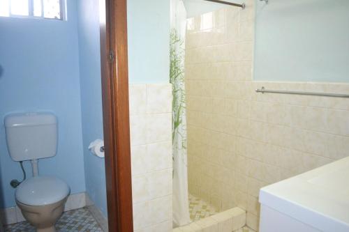 a bathroom with a toilet and a shower at Travellers Palms no 8 South West Rocks in South West Rocks