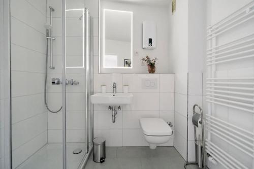 弗倫斯堡的住宿－Schiffbrücke，浴室配有卫生间、盥洗盆和淋浴。