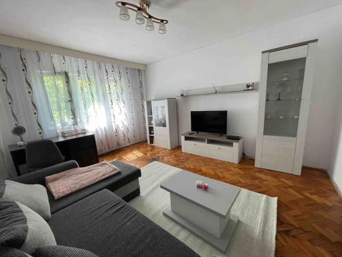 un soggiorno con divano e tavolo di Apartament zonă centrală Punctele cardinale -Take Ionescu Timișoara a Timişoara
