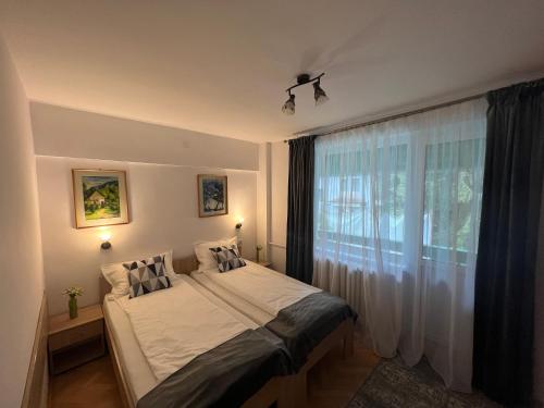 a bedroom with a bed and a large window at Babi Apartments in Sovata