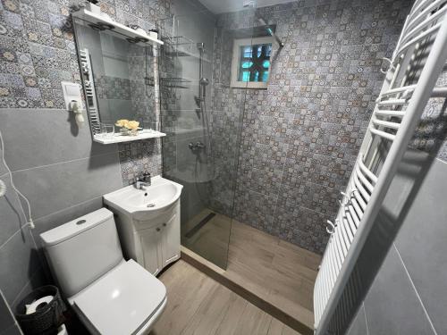 a bathroom with a toilet and a shower and a sink at Babi Apartments in Sovata