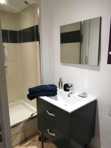 ein Bad mit einem Waschbecken, einem Spiegel und einer Dusche in der Unterkunft Petit studio au coeur d'Uzès in Uzès