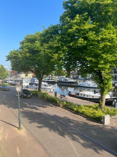 a tree on a sidewalk next to a river with boats at Dok 20, Lemmer in Lemmer