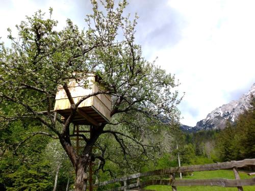 a tree house in a tree at Glamping Grintovec 