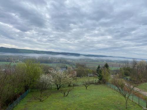 a view of a field with fog in the distance at Ginkgo House in Kehidakustány