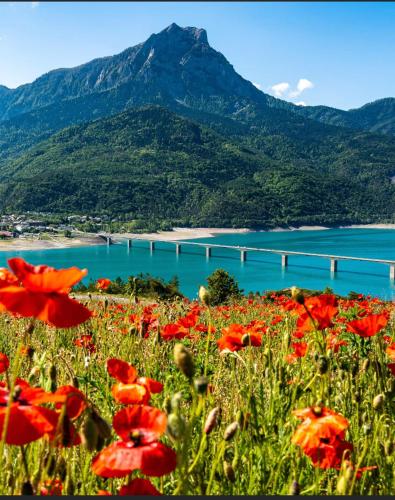 a field of red flowers in front of a mountain at Villa L'Epicléa, Chorges, entre lac et montagnes in Chorges