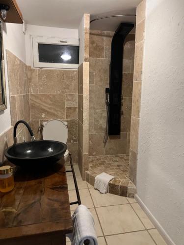 a bathroom with a sink and a shower at Domaine de Beaufort in Saint-Front-de-Pradoux