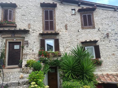 un edificio con un montón de ventanas y plantas en B&B Dell' Artista en Artena