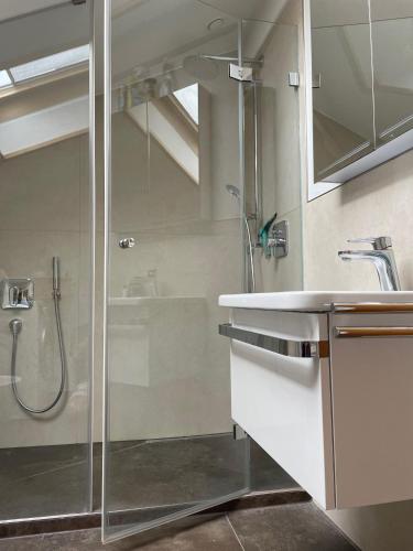 a bathroom with a shower and a sink at Oberaudorf-Kaiserblick in Oberaudorf