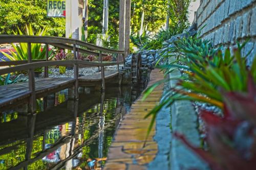 a pool of water with benches and plants next to a building at Pousada Magnus in Balneário Camboriú