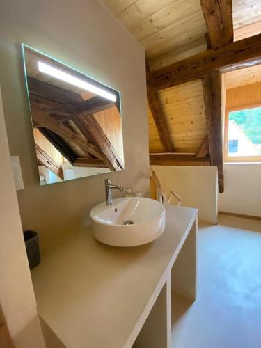 une salle de bain avec un lavabo et un miroir sur un comptoir dans l'établissement Maison de charme en Alsace - IN VINO VERITAS - 12 personnes, à Gueberschwihr