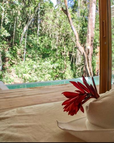 Ecocoon Tree-Villas & Yoga – Photos 2