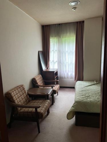 湯沢町にあるNAEBA KOGEN HOTELのベッドと椅子が備わるホテルルーム、ベッドルーム1室が備わる客室です。