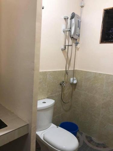 a bathroom with a toilet and a shower at Caminres Homestay in Bug-ong