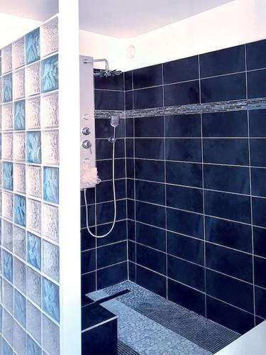 une salle de bain avec douche aux carreaux bleus dans l'établissement Villa tout confort, piscine - Au pied du VENTOUX, à Saint-Didier