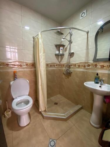 a bathroom with a toilet and a shower and a sink at Guest house Lusia in Tbilisi City